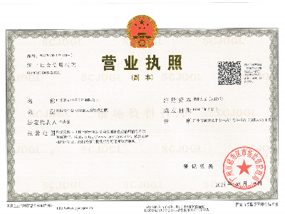 廣州嘉立嘉立電梯工程有限公司 營業(yè)執(zhí)照